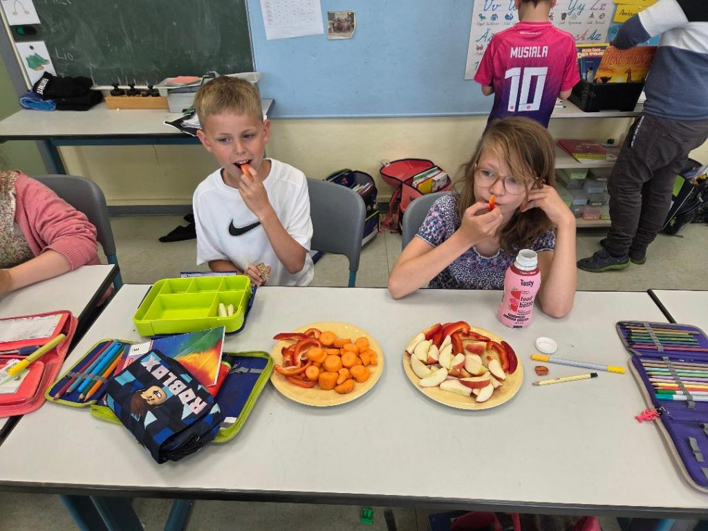 Projekte Schulobst